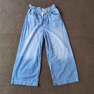 Anthropologie Pilcro The Coastal Relaxed Jeans Wide Leg Size 32